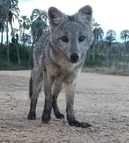 El Palmar National Park